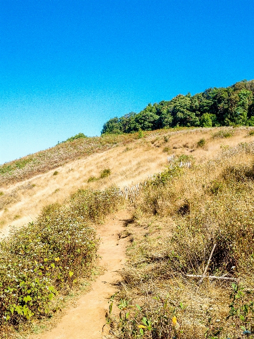 Thailand landscape travel chiangmai