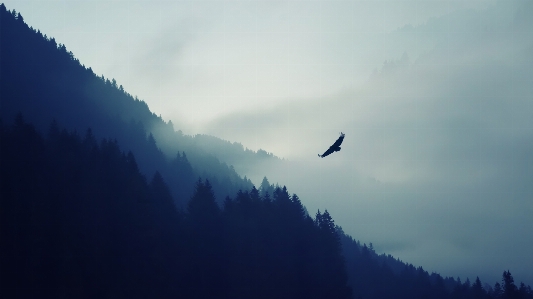 Aguila sky mountainous landforms mountain range Photo