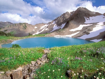 Laguna wilderness nature reserve vegetation Photo