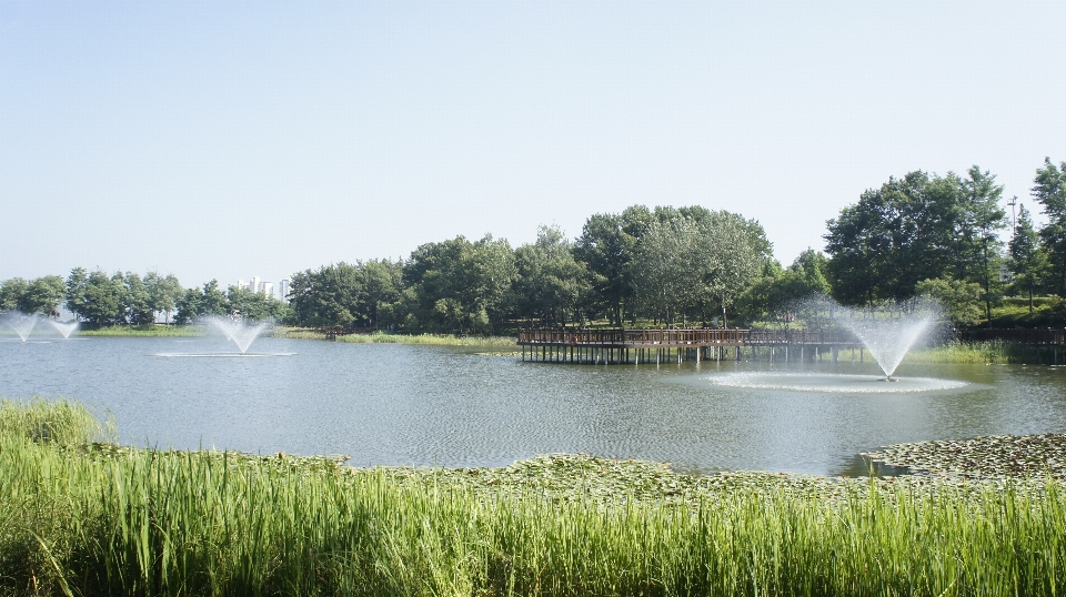 Fontana lago acqua parco