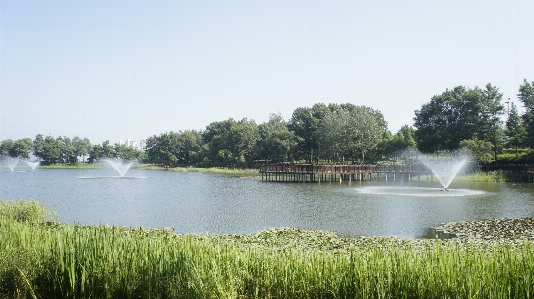 噴水 湖 水 公園 写真