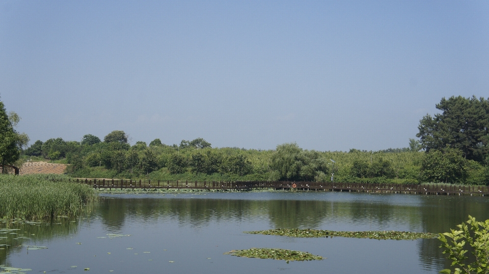 Fonte lago água parque