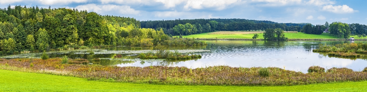 Foto Natura riserva naturale
 riflessione acqua