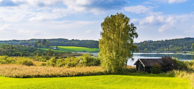 Nature grassland field sky Photo