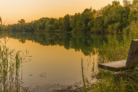 Reflection water nature bank Photo