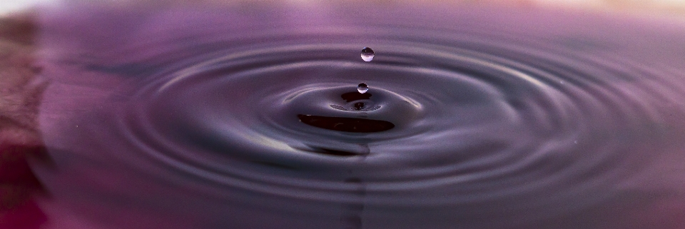 Wasser tropfen lila makrofotografie
