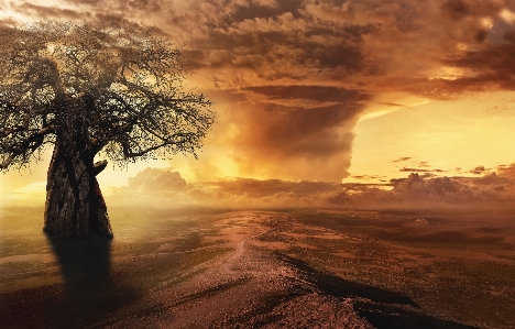 Fantasy tree landscape clouds Photo