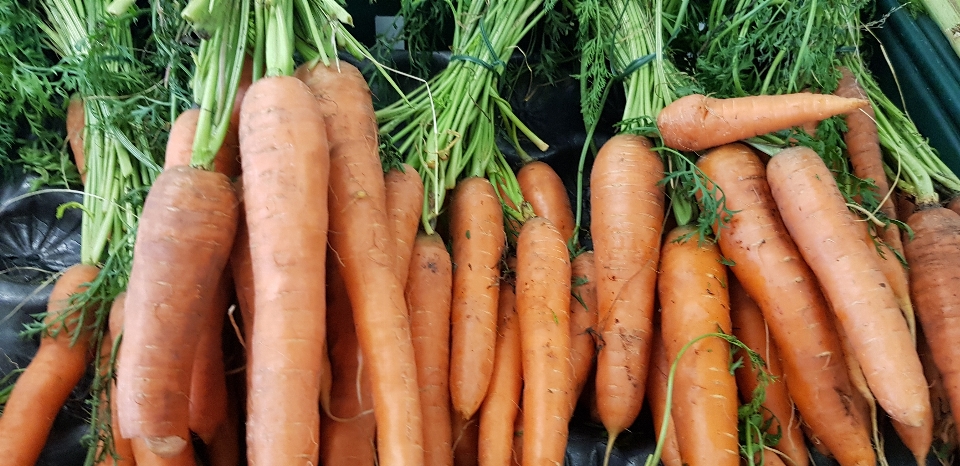 Zanahorias verduras tienda de granja
 lancashire
