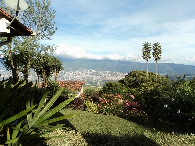 Venezuela andes mountains vegetation Photo