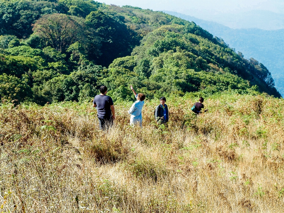 Thailand landscape travel chiangmai