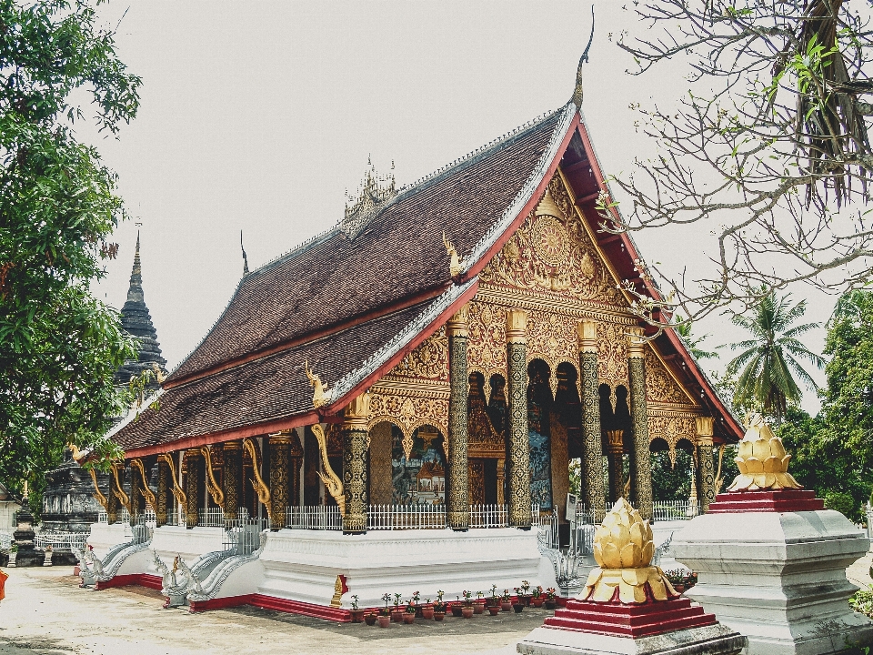 Quoi
 prabang
 luang
 temple