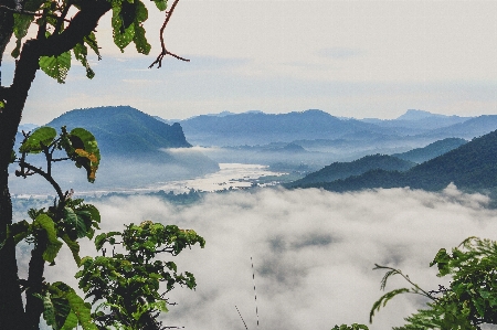 Fog morning environment nature Photo