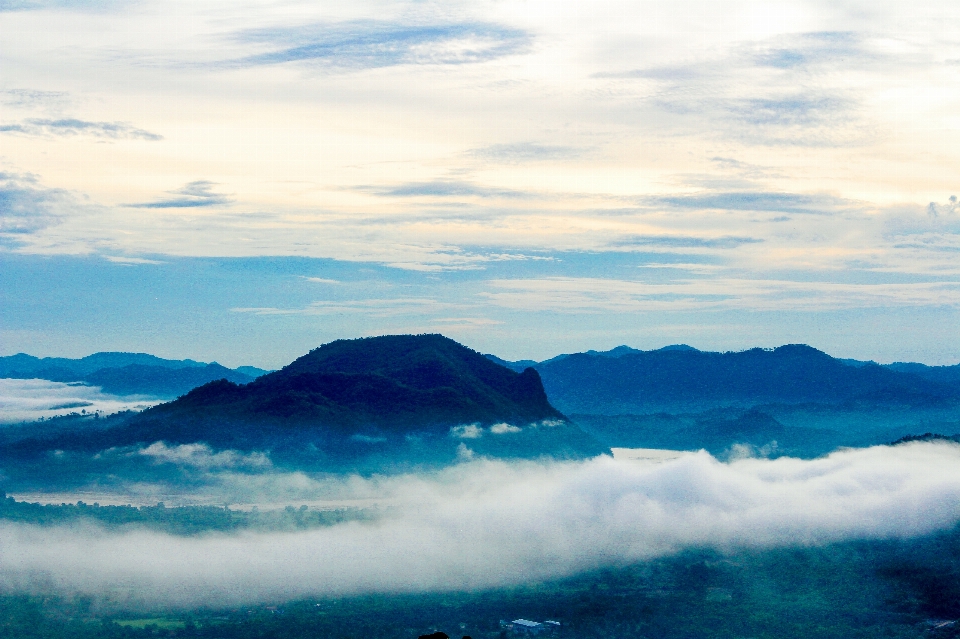 Fog morning environment nature