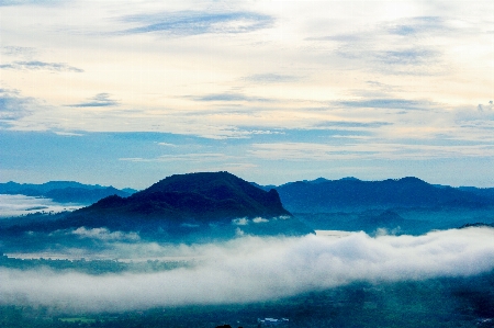 Fog morning environment nature Photo