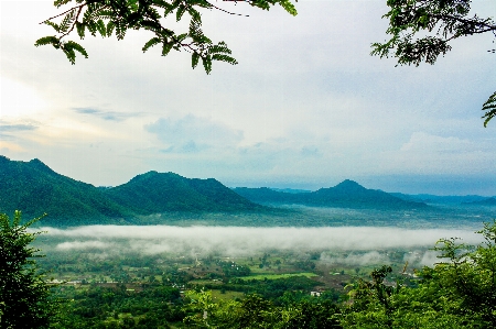 Fog morning environment nature Photo