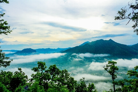 Fog morning environment nature Photo