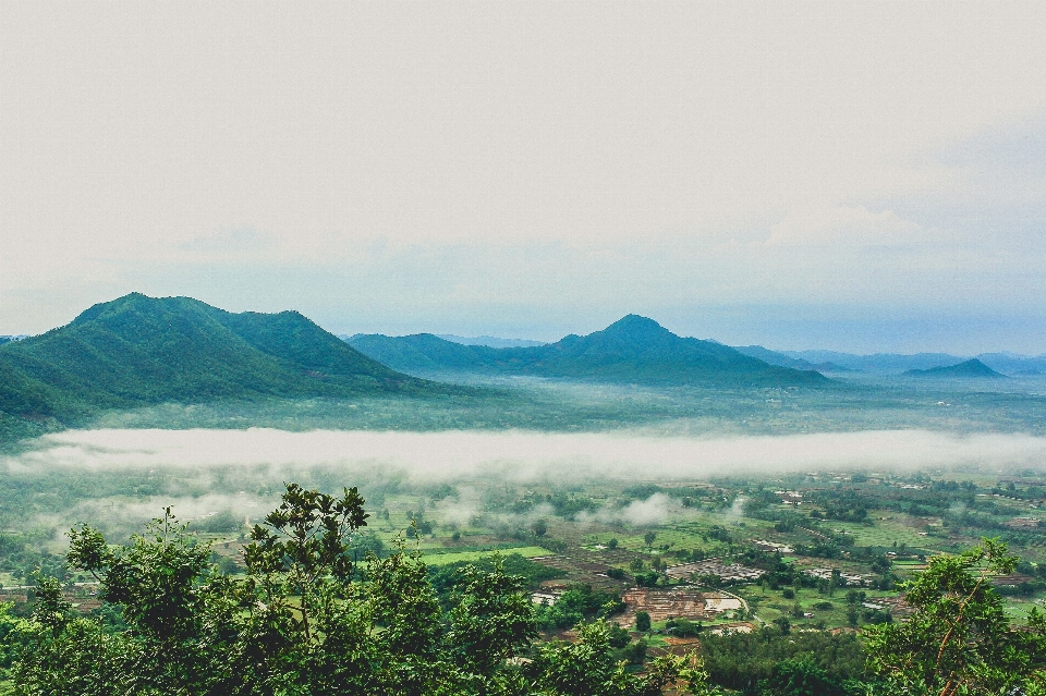 Fog morning environment nature