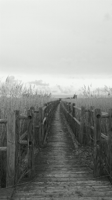 Dock caminho preto e branco
 camargue
