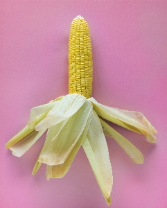 Aerial agriculture background closeup Photo