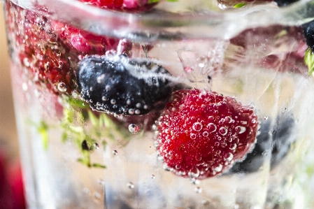 Antioxidant beverage blueberry closeup Photo