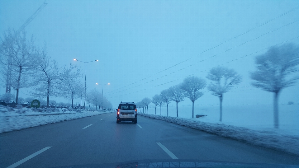 Ağaç yol kar kış