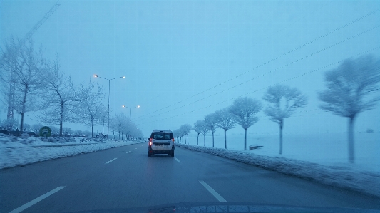 Ağaç yol kar kış Fotoğraf