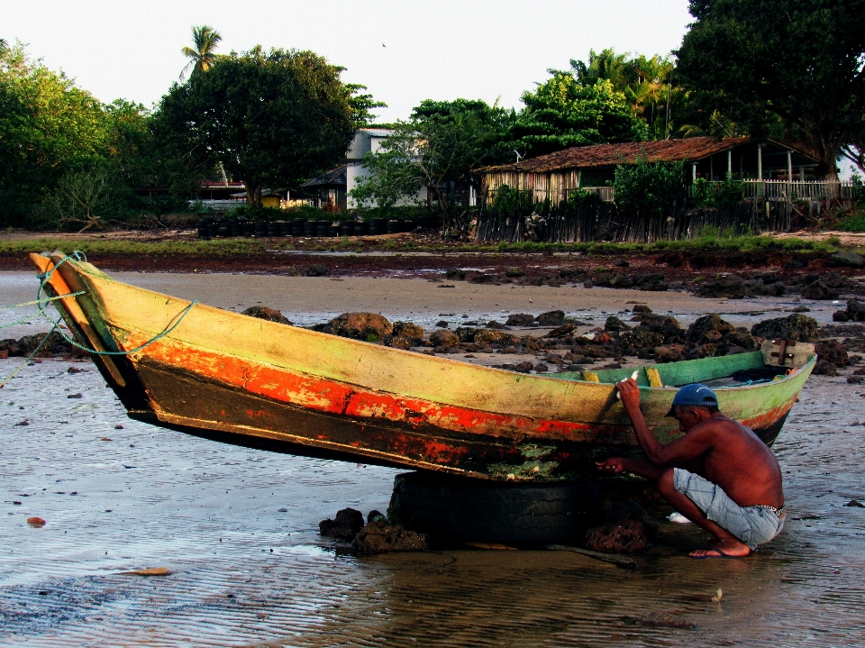 Spiaggia amazon corso d'acqua
 trasporto dell'acqua
