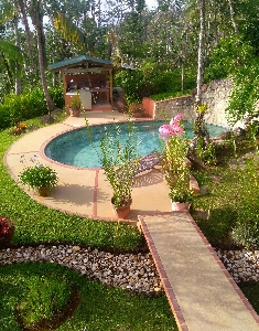 Pool countryside river rocks plants Photo