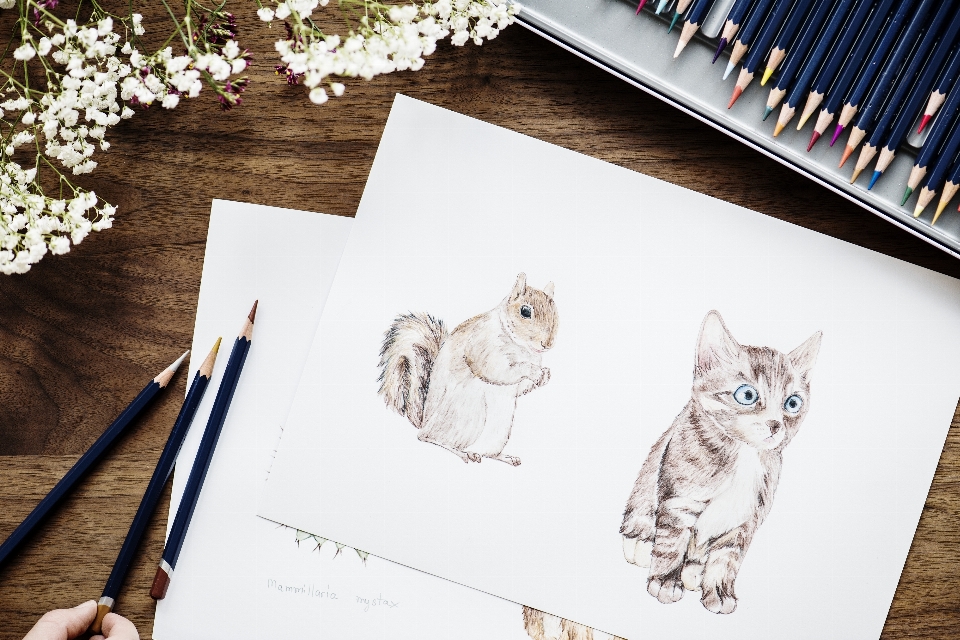 Adorable animal art artist