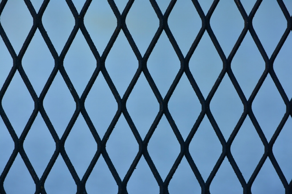 Nature blue wire fencing sky