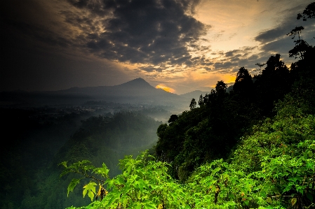 風景 自然 空 植生 写真