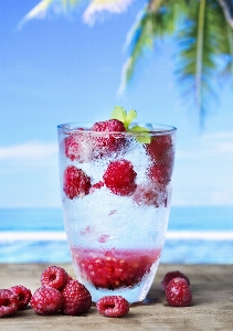 Foto Antioksidan
 pantai bermanfaat
 minuman