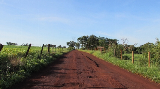 Farm earth sky road Photo