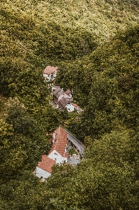 Forest loneliness houses mountains Photo