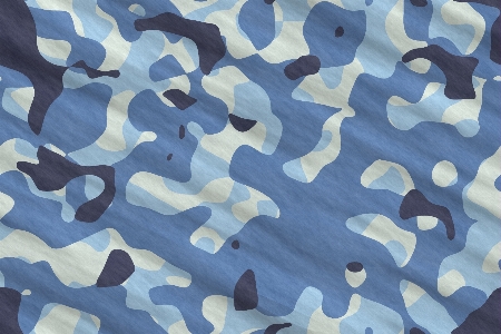 Tarn blue pattern camouflage Photo