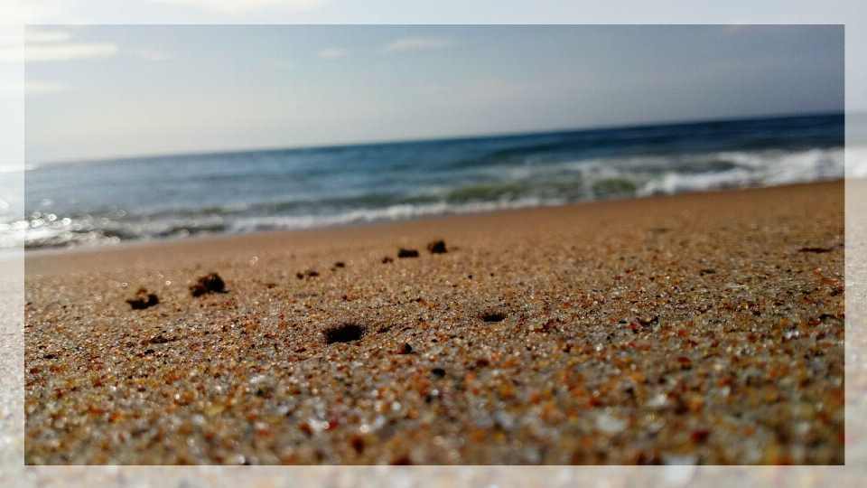 ビーチ 海 水 土壌