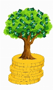 Money tree make investment Photo