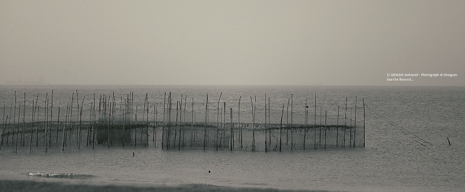 La photographie mer brouillard horizon