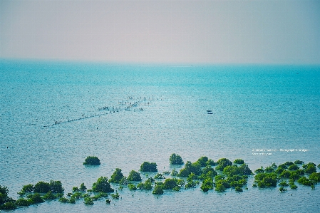 Photography sea sky horizon Photo