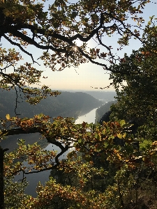 Bastei elbe autumn saxony Photo