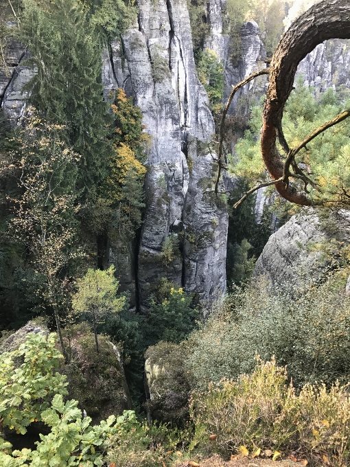 スイスのザクセン州
 岩 秋 ドイツ