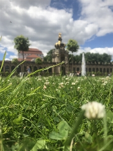 Foto Dresda
 palácio coroa parque