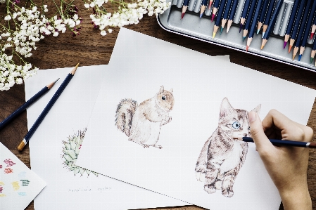 Adorable animal art artist Photo