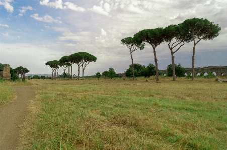 Landscape tree sky nature Photo