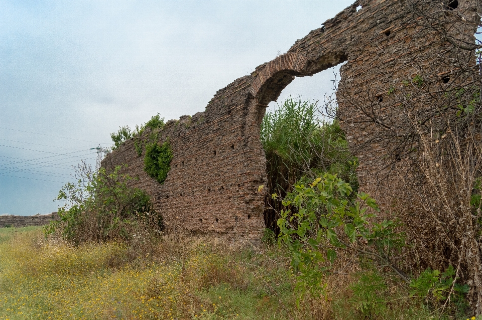 建築 城 壁 要塞
