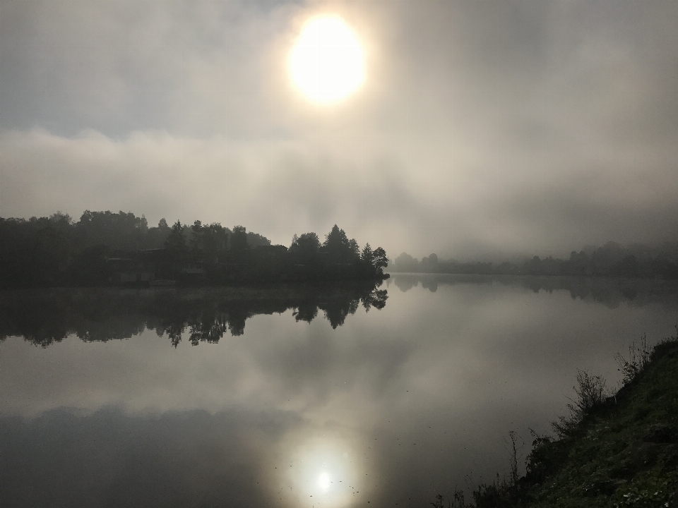 лес сказка магия романтика