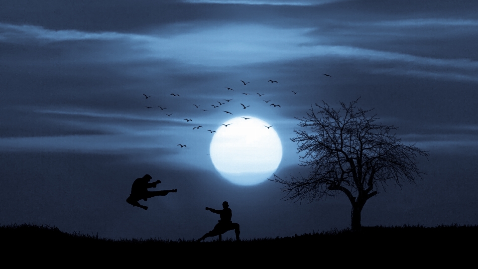 Acción kung fu
 luz de la luna noche