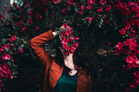 Flowers perfume flower red Photo