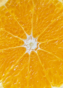 Acid background citric citrus Photo