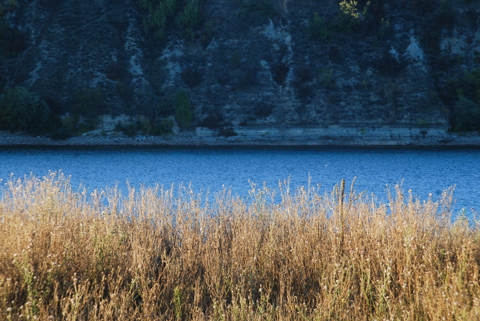 Fluss abend natur felsen